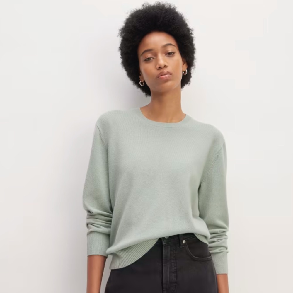 Everlane Cashmere Crew Sweater